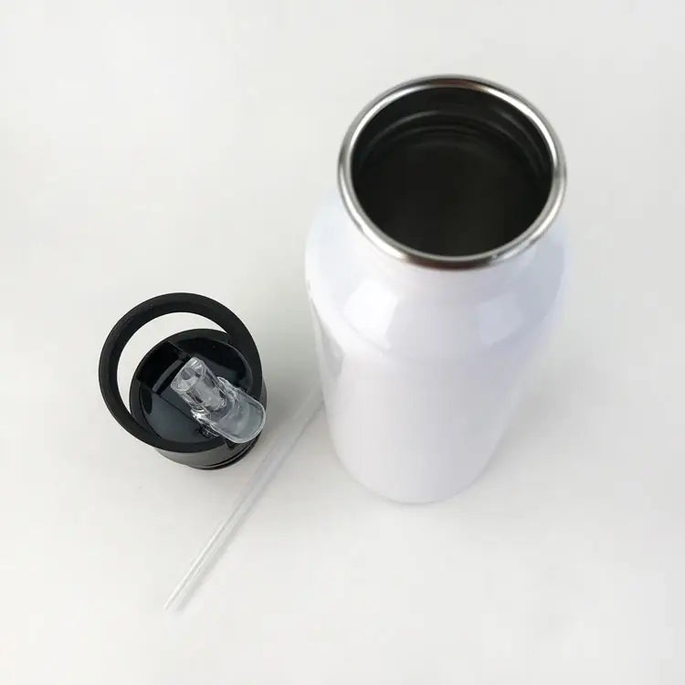 Stainless Steel Drinking Water Bottle with Straw, 600ml - WBS0009