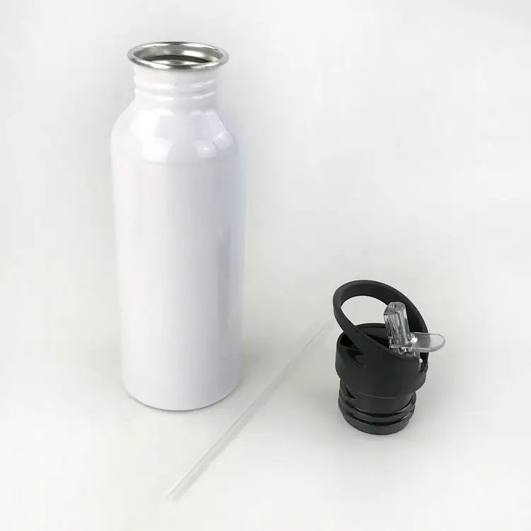 Stainless Steel Drinking Water Bottle with Straw, 600ml - WBS0009