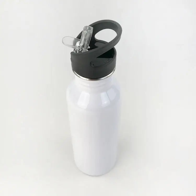Stainless Steel Drinking Water Bottle with Straw, 600ml - WBS0009