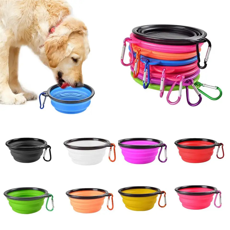 PBF0002 Collapsible Pet Silicone Food Water Bowl with Carabiner