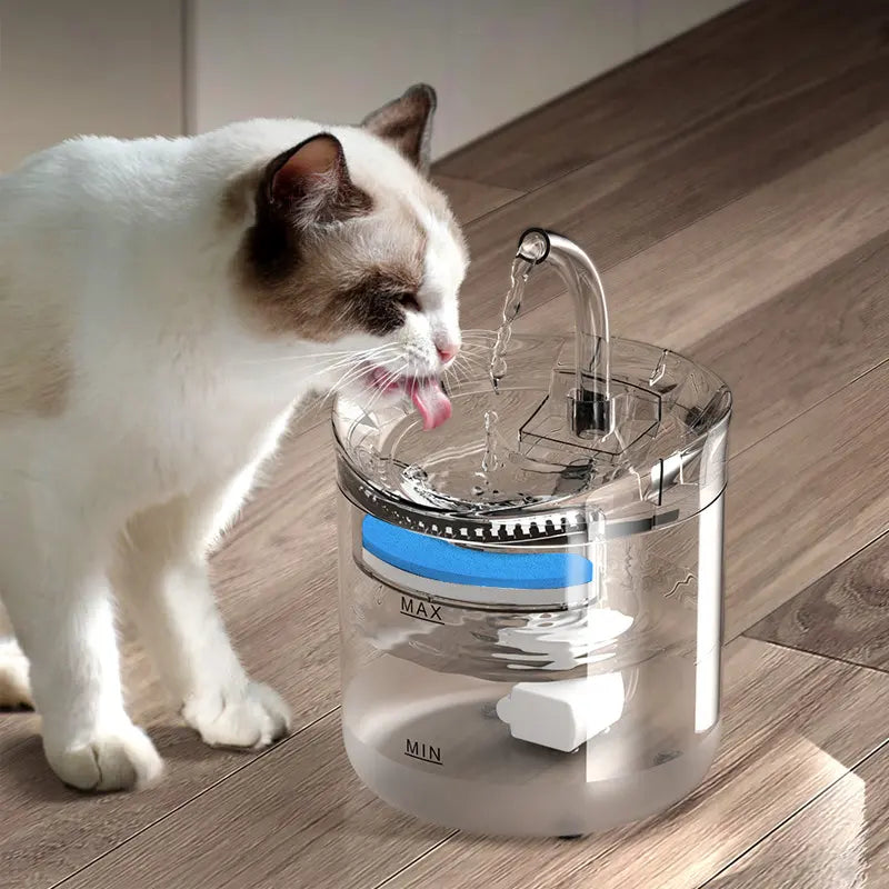 PBF0008 Automatic Cat Water Dispenser - Smart Constant Temperature Kitten Drinking Fountain