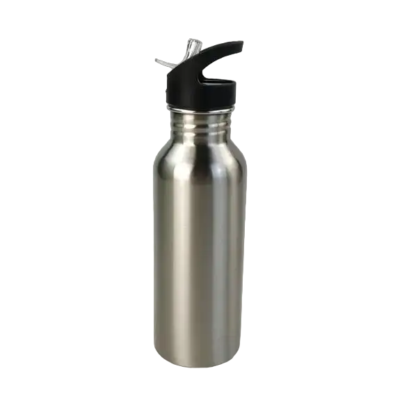 Stainless Steel Drinking Water Bottle with Straw, 600ml - WBS0009