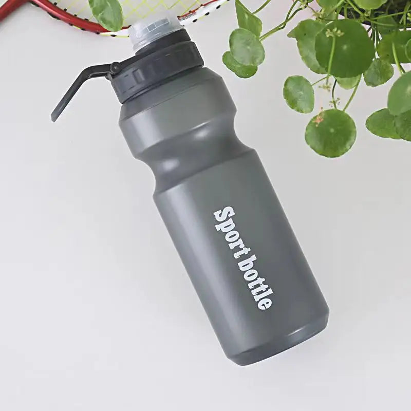 Motivational Plastic Bottle for Sports, Workout, and Biking, 560ml, 750ml - WBP0013