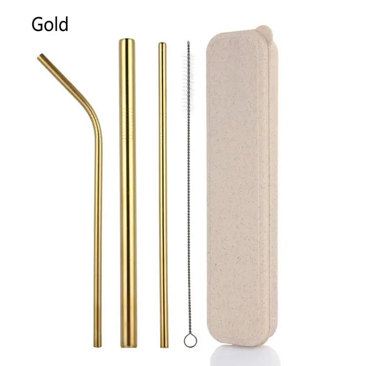 RSS0005 Reusable 304 Metal Stainless Steel Straw Set in box