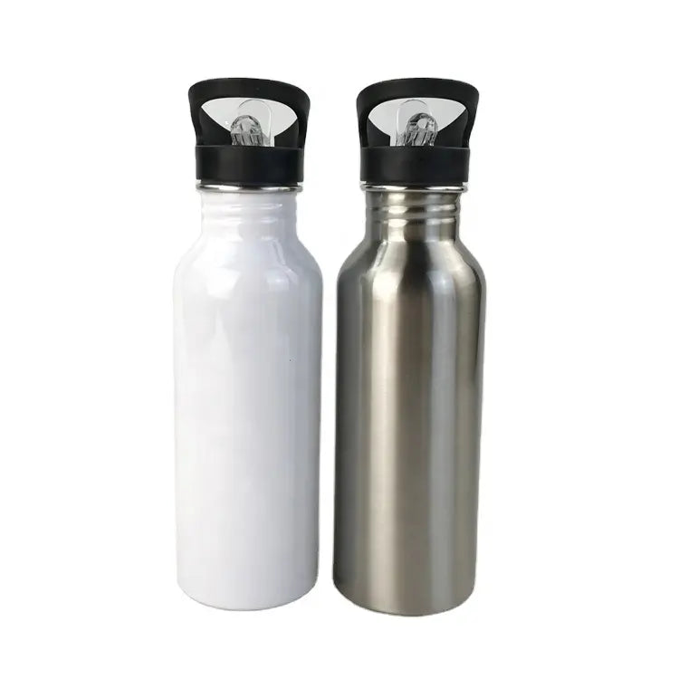 Stainless Steel Drinking Water Bottle with Straw, 600ml - WBS0009