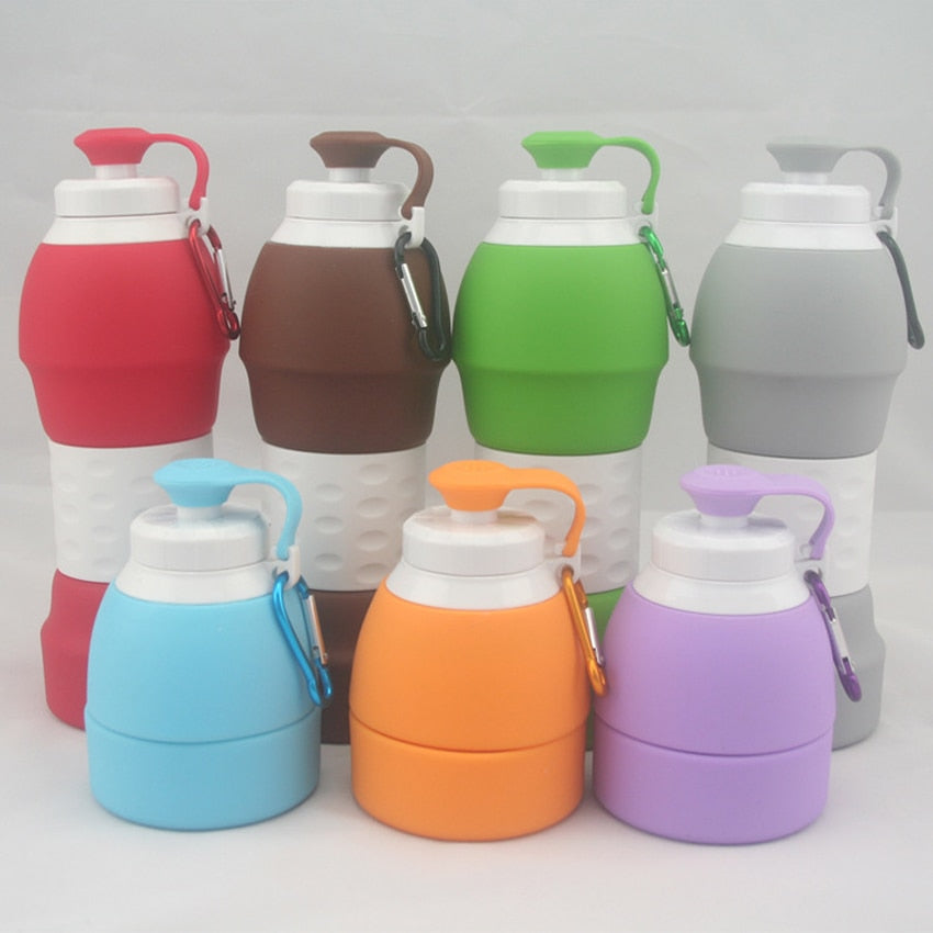 Foldable Silicone Water Bottle for School Students, 580ml(20oz) - WBI0004