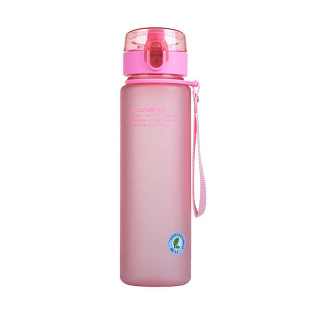 WBP0053 Leakproof and Portable Frosted Plastic Water Bottle - 560ml